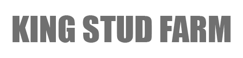 logo_9837